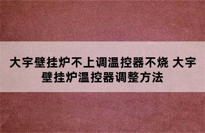 大宇壁挂炉不上调温控器不烧 大宇壁挂炉温控器调整方法